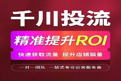 百度SEO推广案例解析与效果评估